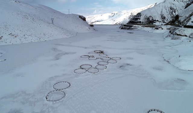 Van’da dondurucu hayatı durma noktasına getirdi: Baraj gölü tamamen dondu!