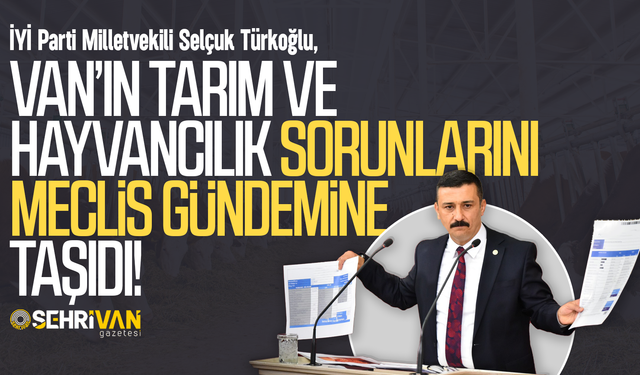 İYİ Parti Milletvekili Türkoğlu, Van’ın sorunlarını meclis gündemine taşıdı!