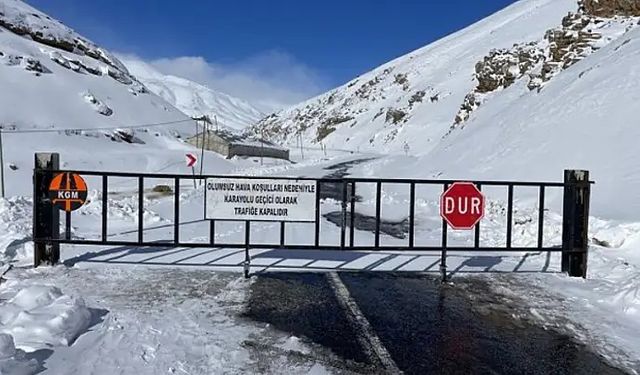 Van’da o yol ulaşıma açılmayacak!