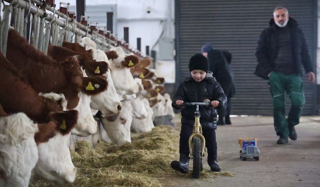 Aldığı destekle çiftliğini kurdu! 432 ton süt üretiyor