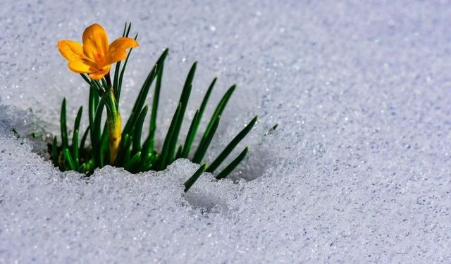 2026 Cemre takvimi belli oldu! İlk Cemre ne zaman düşecek?