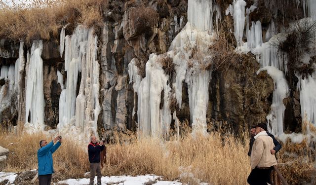 Van'da ilgi odağı oldu: Onu gören telefonuna sarıldı!