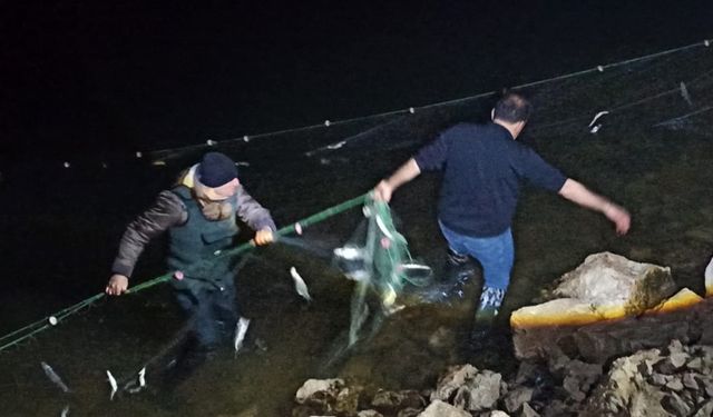 Van Balığının başı dertte: Tam 5 ton 650 kilo ele geçildi!