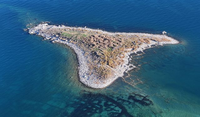 Van Gölü Havzası’ndaki bütün göller tehlike altında!