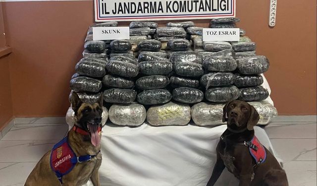 Van’da uyuşturucu operasyonu: 90 kilo yakalandı