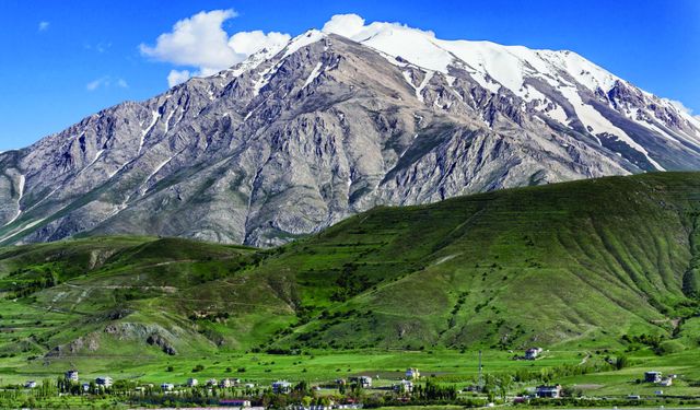 Van'ın dağlarında hazine yatıyor: Hem şifa hem kazanç sağlıyor