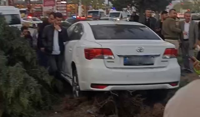 Van'da araç kontrolden çıkıp ağaca çarptı: Yaralılar var…
