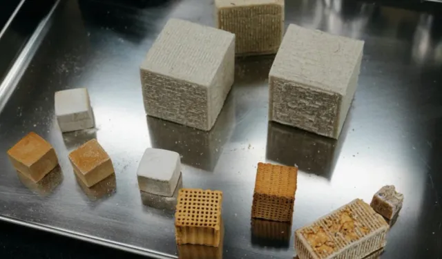 İnşaat sektöründe beton tarih oluyor: Kendini onaran mantar tuğlalar geliyor!