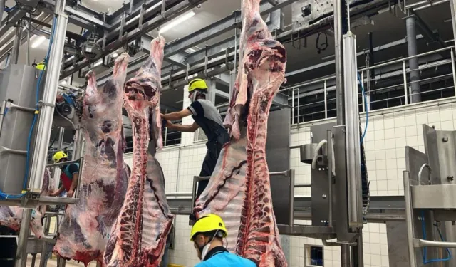 Kurban Bayramı'nda kist hidatik tehlikesi: Sakatatları rastgele atmayın