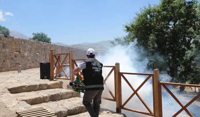 Van'da tarihi ve turistik mekanlar yaz turizmine hazırlandı!