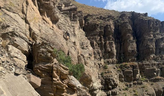 Hakkari’de koyunlar mahsur kaldı, ekipler yardıma koştu