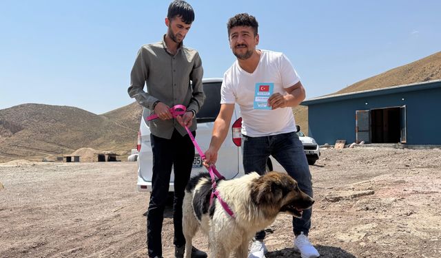 Muğdat’ın sadık köpeği ünlü sanatçı Ceylan Ertem‘e emanet!