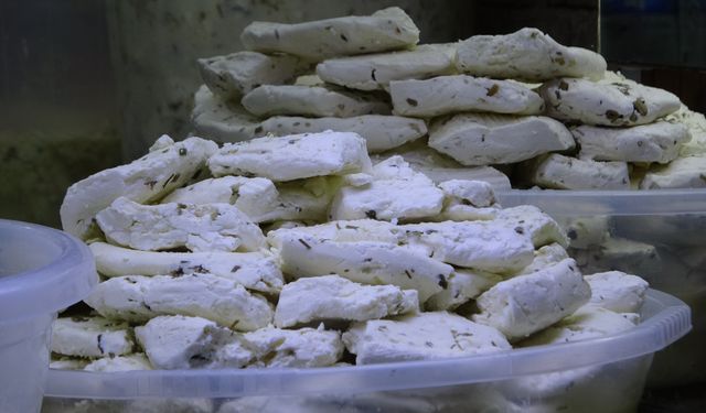 Van’ın yöresel lezzeti otlu peynire ilişkin önemli adım