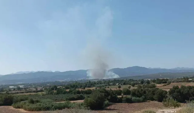 Orman yangınlarının ardı arkası kesilmiyor! 2 ilde alevler yükseldi