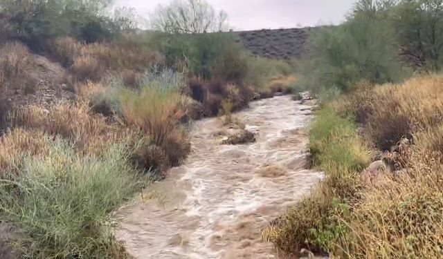 Selden 4 kişi öldü