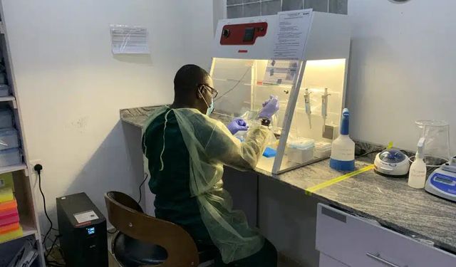 Nijerya’da ‘Lassa ateşi’ salgını: 162 ölü