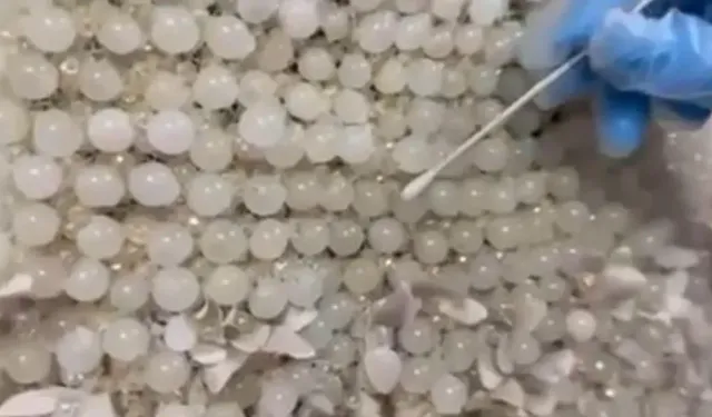 Uyuşturucuyu gelinliğin üzerine tek tek işlediler!