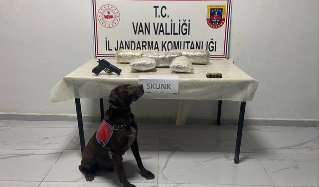 Van’da narkotik köpek destekli uyuşturucu operasyonu!