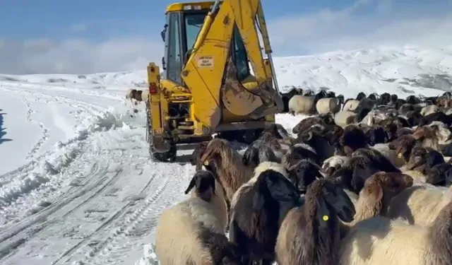 Kar ve tipi etkili oldu: 14 köy yolu ulaşıma kapandı