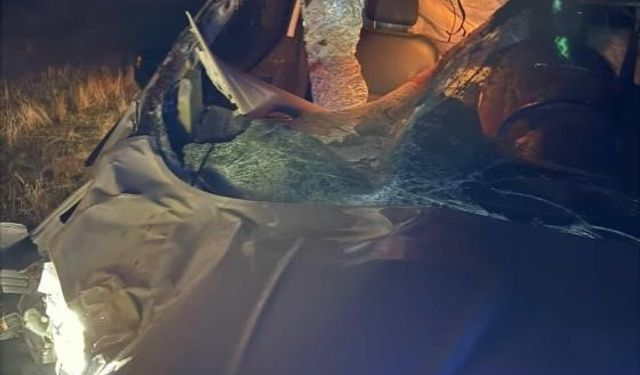 Hafif ticari araç ata çarptı: 2 yaralı