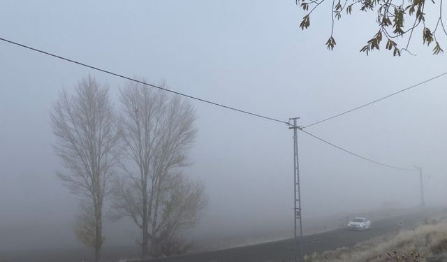 Patnos’ta yoğun sis yaşamı olumsuz etkiledi