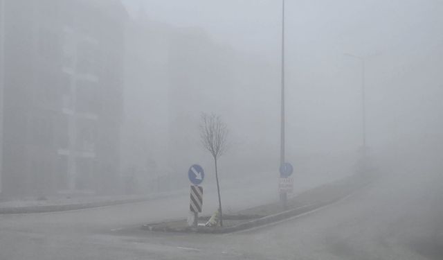 Elazığ’da sis etkili oldu