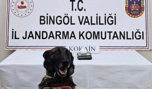 Bingöl’de uyuşturucuyla mücadele: 1 kişi tutuklandı