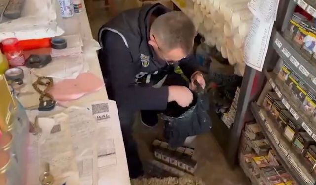 Iğdır'da kaçak sigara ve uyuşturucu ele geçirildi