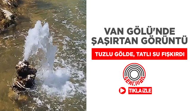 Van Gölü'nde şaşırtan görüntü: Tuzlu gölde, tatlı su fışkırdı
