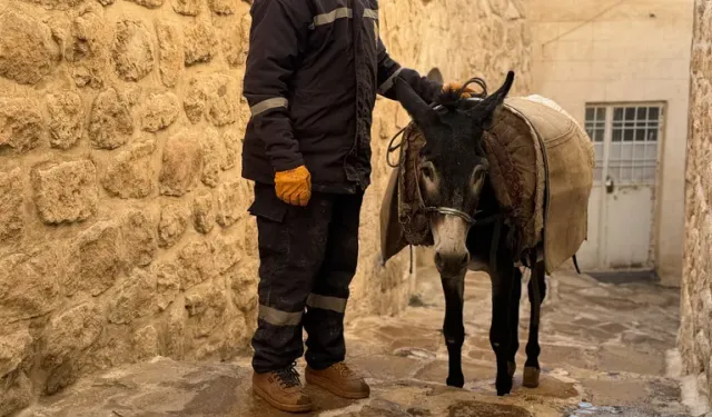 'Kadrolu' eşekleri emekli edecek proje hayata geçiyor