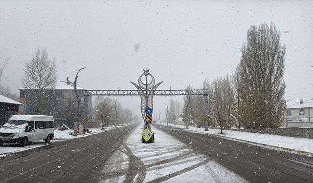 Van'ın iki ilçesinde kar yağdı