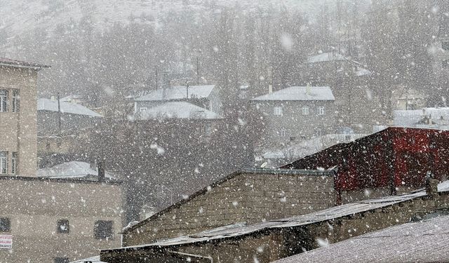 Van'da kar yağışı ilçeyi beyaza bürüdü
