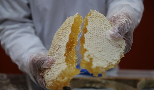 Vanlı arıcıdan Dubai’ye 16,5 tonluk bal ihracatı