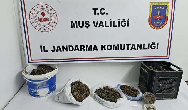 Muş’ta uyuşturucu operasyonu