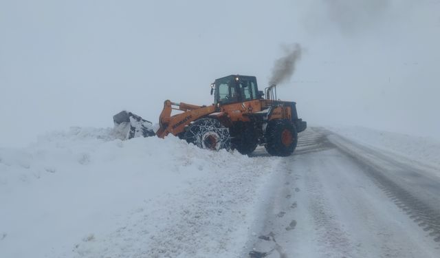 Van, Karabet Geçidi'nde kar temizleme çalışması devam ediyor