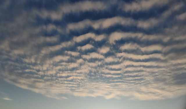 Sirrokümülüs bulutları Van semalarında görsel şölen sundu