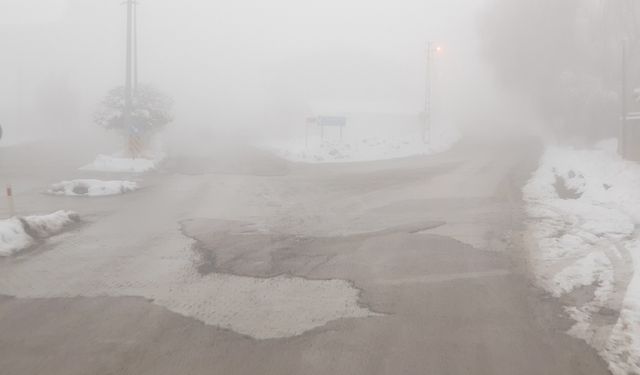 Başkale'de sis etkili oldu