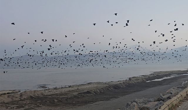 Van Gölü semalarında sıra dışı manzara!