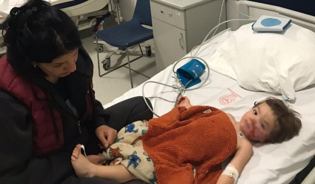 İki kardeşe saldıran köpeğin sahibi tutuklandı!