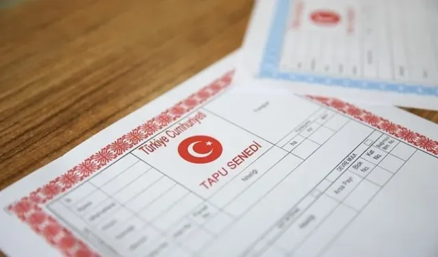 Milyonlara müjde! O işlemler artık e-Devlet'ten yapılacak