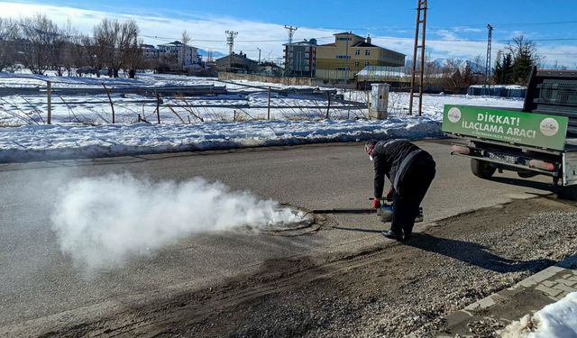 Van’da cadde ve sokaklarda kış ilaçlaması!