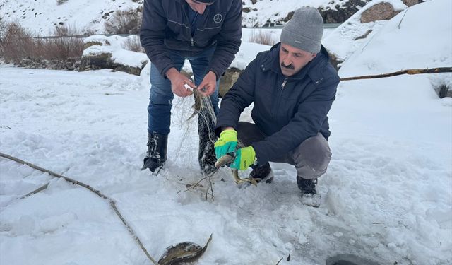 Hakkari'de buz tutan Zap Suyu'nda balık avı