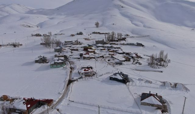 Zorlu kış şartlarında Van'da eşsiz kar manzaraları!