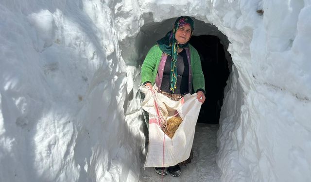 Türkiye Van’daki bu görüntüleri konuşuyor!
