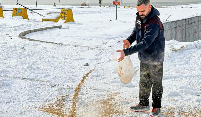 Van’da yaban hayvanları unutulmadı: Doğaya yem bırakıldı!