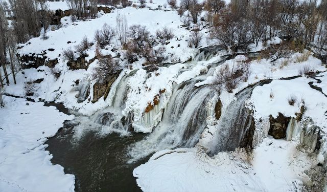 Van’ın gözdesi dondu!