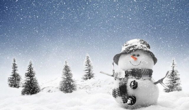 Van’ın bir ilçesinde okullar tatil!