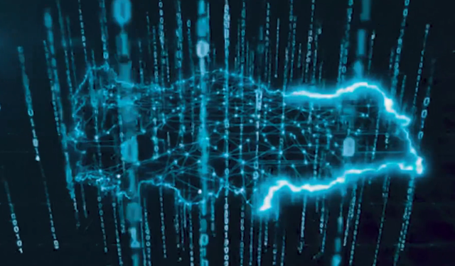 Van dahil 37 ilde büyük operasyon yapıldı!