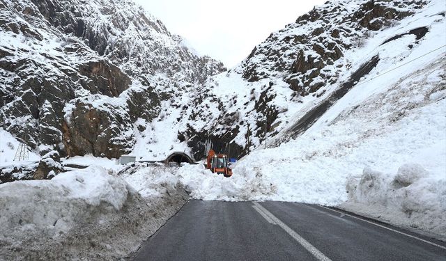 Hakkari-Van kara yolunda düşen çığ temizlendi