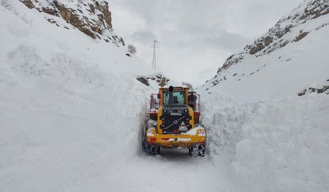 Hakkari-Çukurca yolunda çığ paniği!